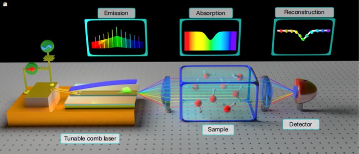 Nature | 首次解锁“连续可调”光频梳：一枚“能自由打节拍”的半导体激光器