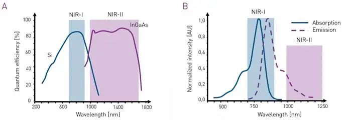 C-Red 2相机在红外Ⅱ区小动物活体成像应用
