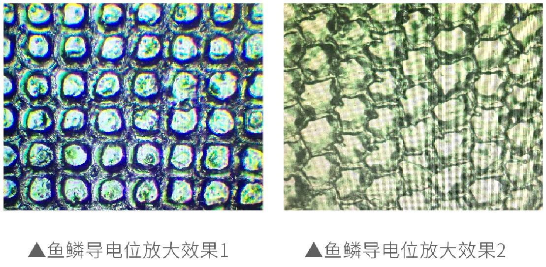 鱼鳞纹导电位激光镭雕工艺分析