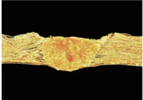 什么是高功率蓝光半导体激光器?