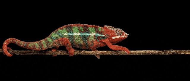 一场由“工业变色龙”引领的色彩革命