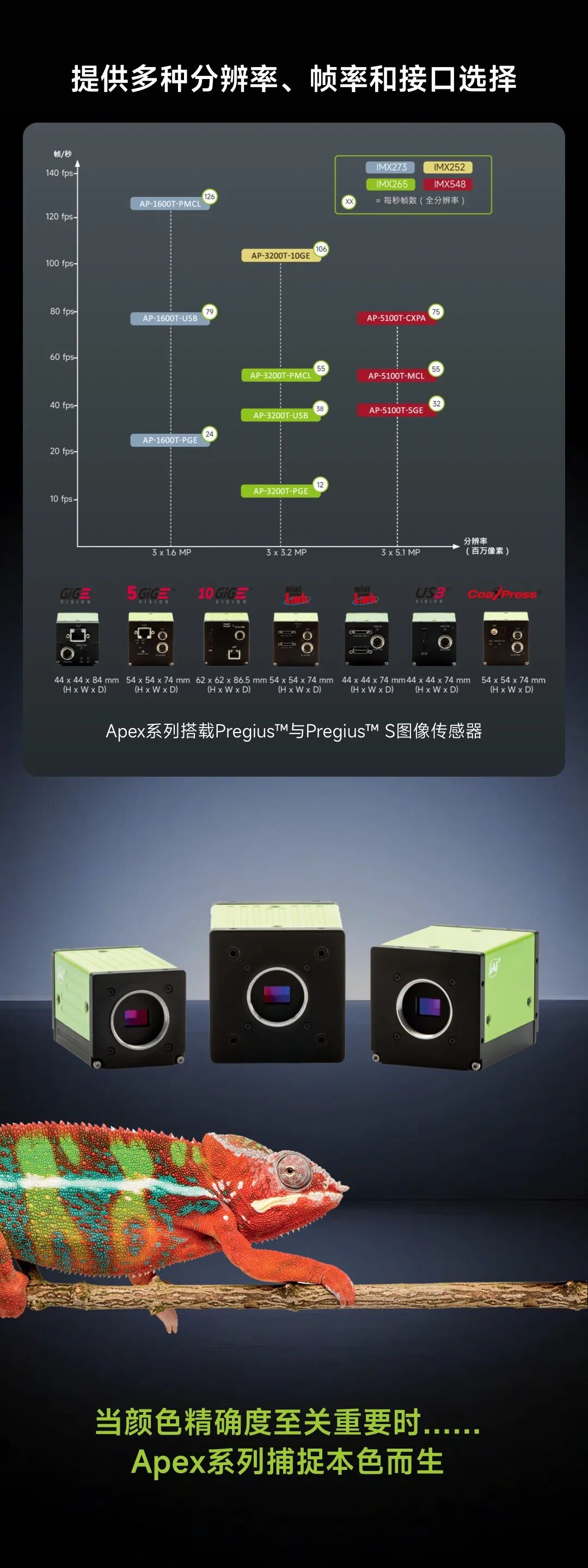 一场由“工业变色龙”引领的色彩革命