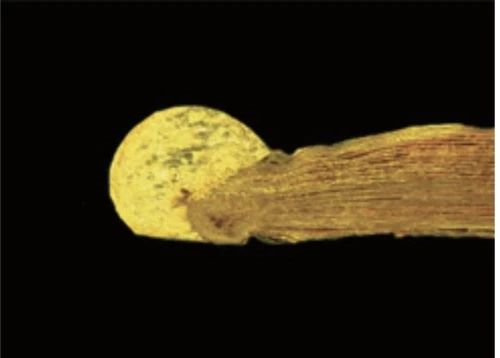 什么是高功率蓝光半导体激光器?