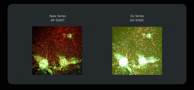 一场由“工业变色龙”引领的色彩革命