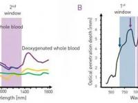 C-Red 2相机在红外Ⅱ区小动物活体成像应用